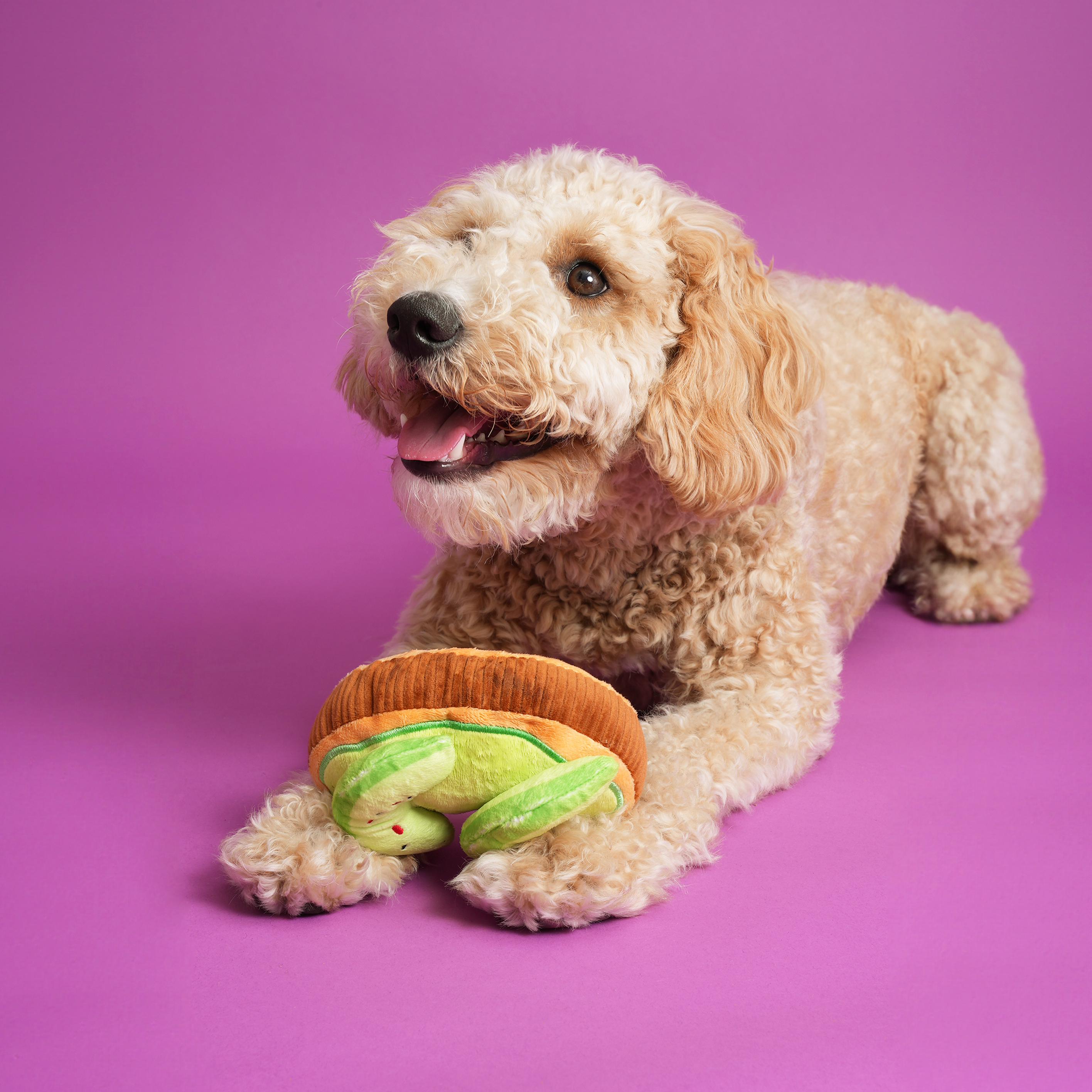 Boris & Horton Croissant Squeaky Toy